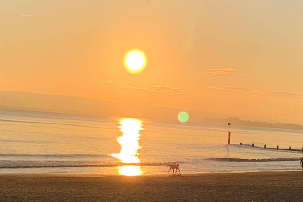 Bournemouth Nr Town Beach Train Coach Shops Lovely Entire Apartment Allows Quiet Good Dogs 外观 照片