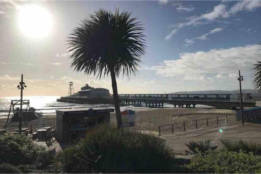 Bournemouth Nr Town Beach Train Coach Shops Lovely Entire Apartment Allows Quiet Good Dogs 外观 照片