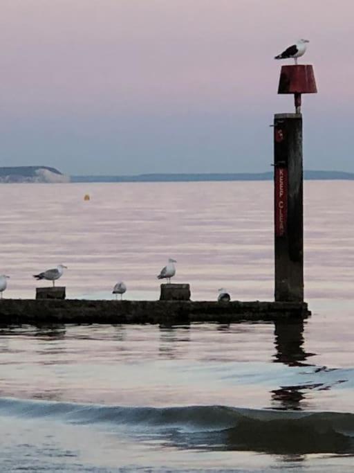 Bournemouth Nr Town Beach Train Coach Shops Lovely Entire Apartment Allows Quiet Good Dogs 外观 照片